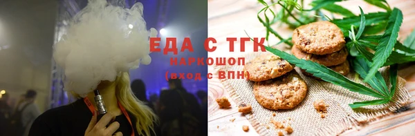 индика Бронницы