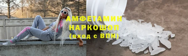 индика Бронницы