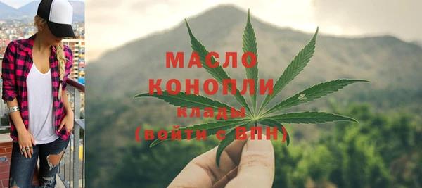 индика Бронницы