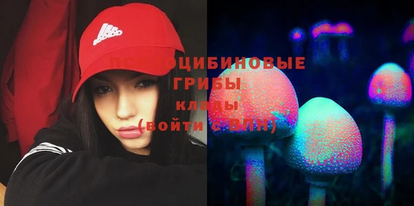прущая мука Бугульма