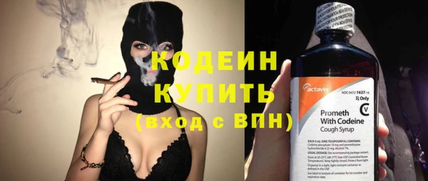 индика Бронницы