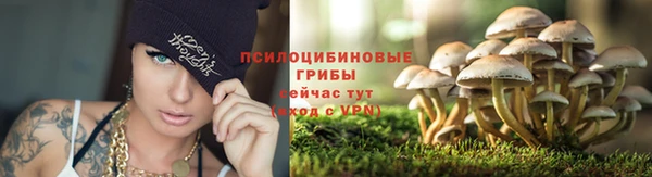 индика Бронницы