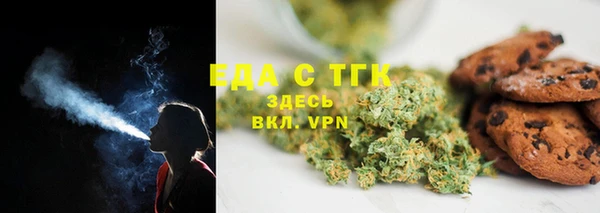 индика Бронницы