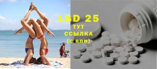 индика Бронницы