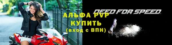 индика Бронницы