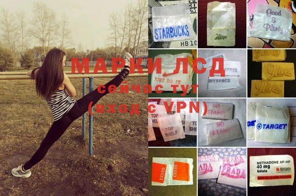 мескалин Бородино