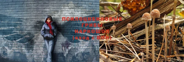 мескалин Бородино