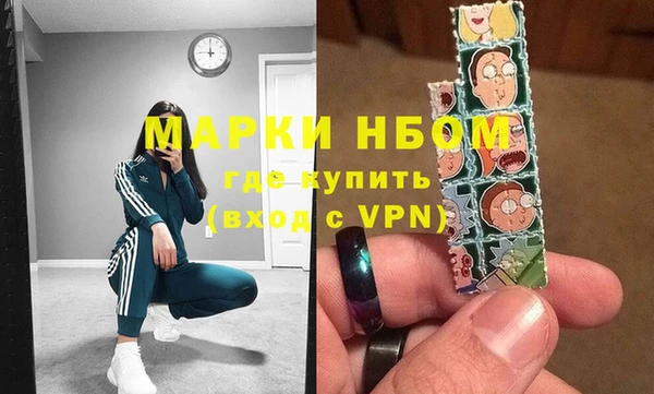 индика Бронницы