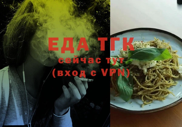 индика Бронницы