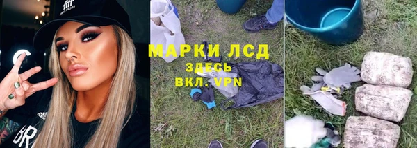 индика Бронницы