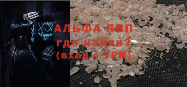 индика Бронницы