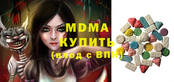 индика Бронницы