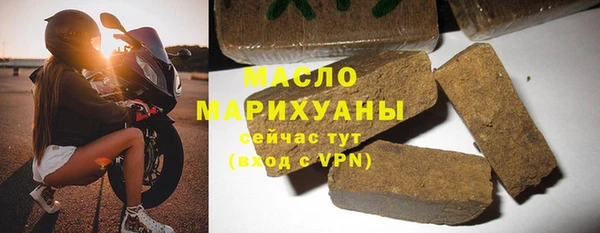 индика Бронницы