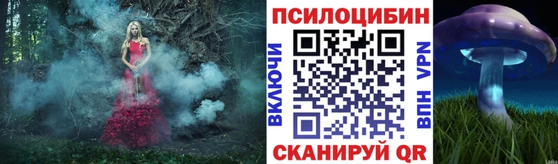 Купить  Весьегонск  Галлюциногенные грибы Magic Shrooms 